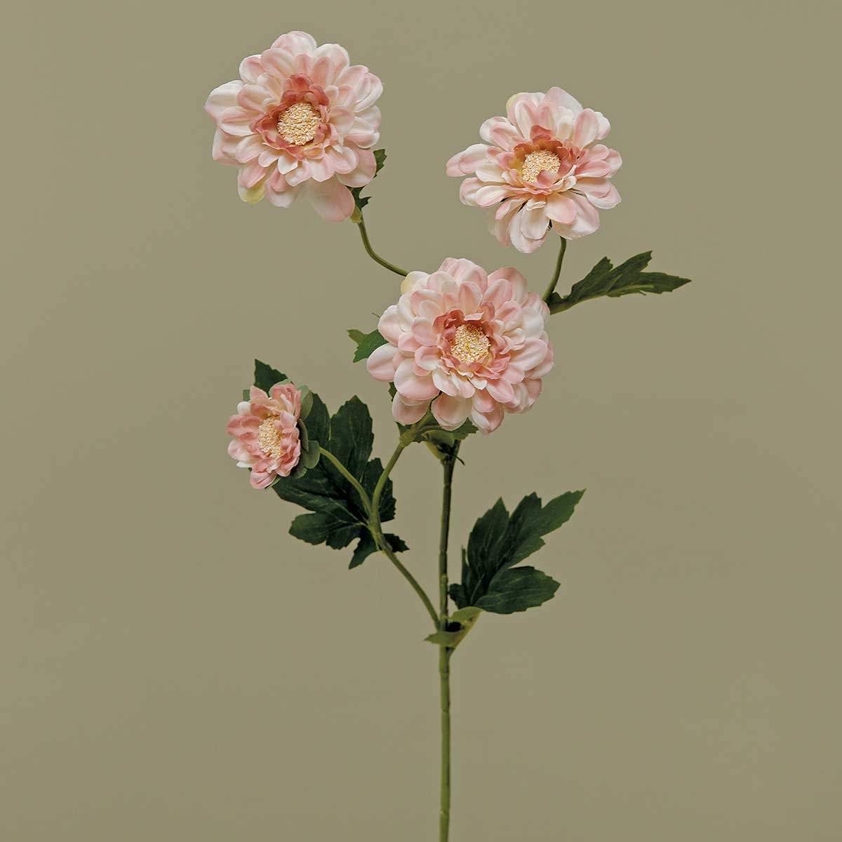 HEIRLOOM DAISY SPRAY X3 BLUSH